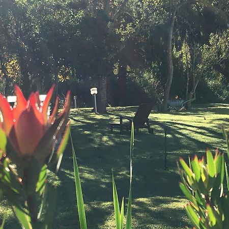 Constantia Spring Bed and Breakfast Εξωτερικό φωτογραφία