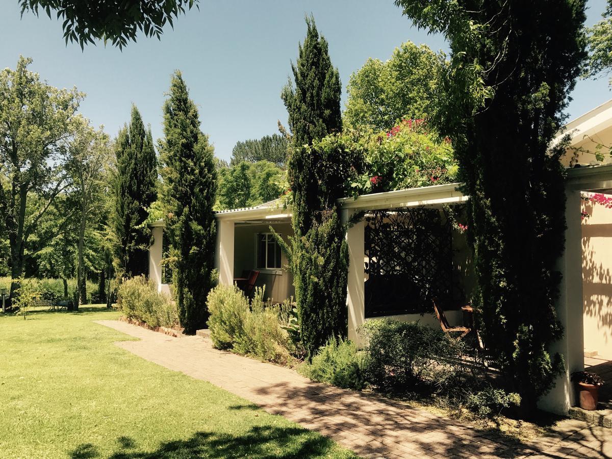 Constantia Spring Bed and Breakfast Εξωτερικό φωτογραφία
