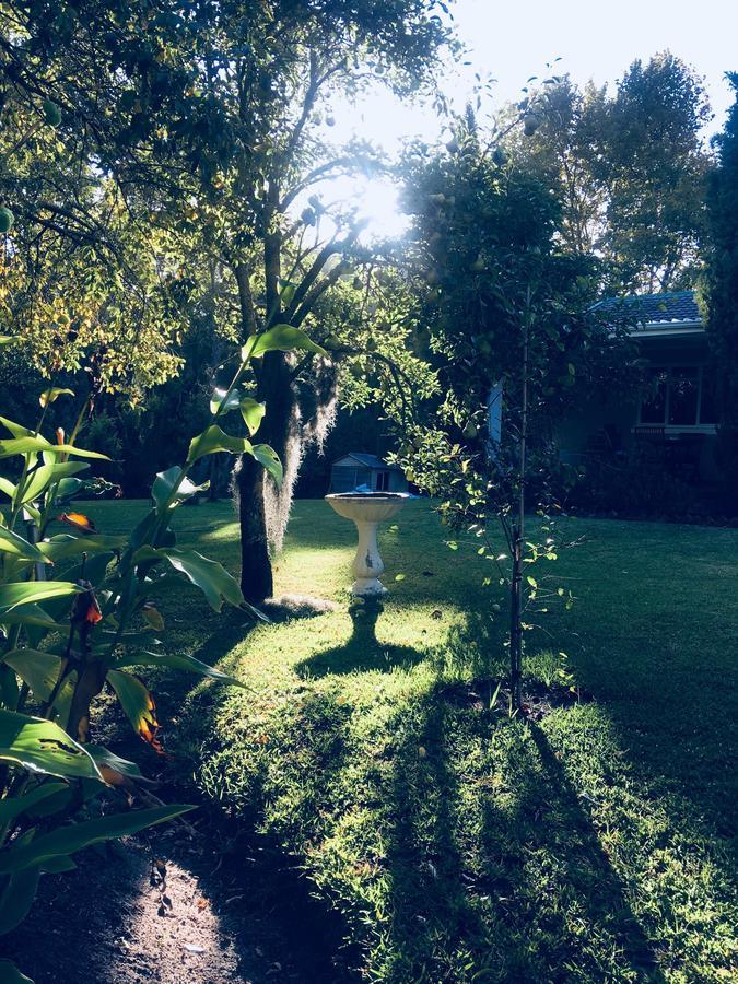 Constantia Spring Bed and Breakfast Εξωτερικό φωτογραφία