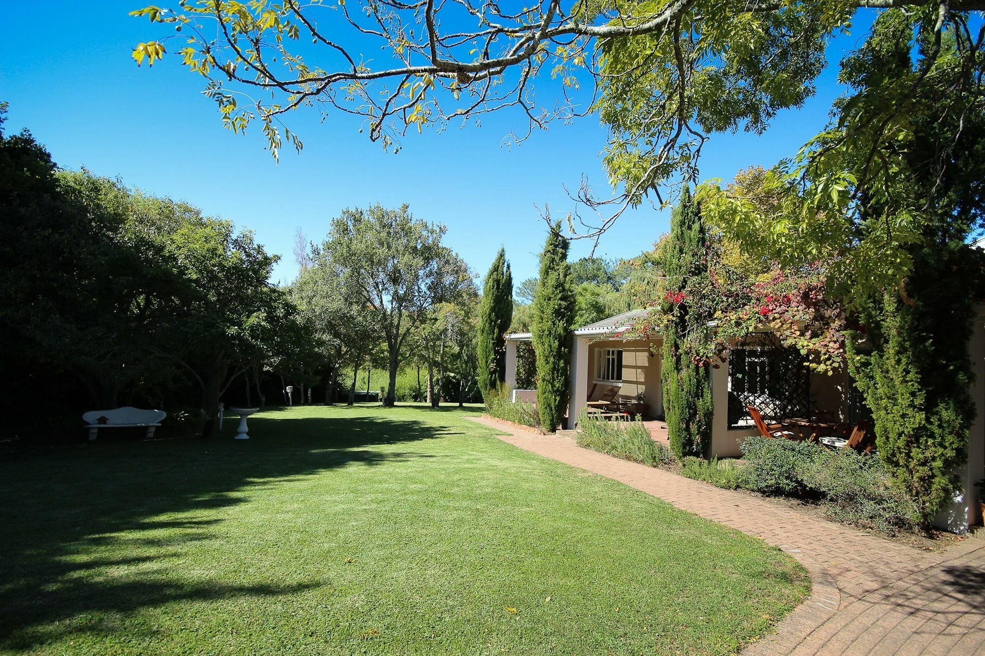 Constantia Spring Bed and Breakfast Εξωτερικό φωτογραφία