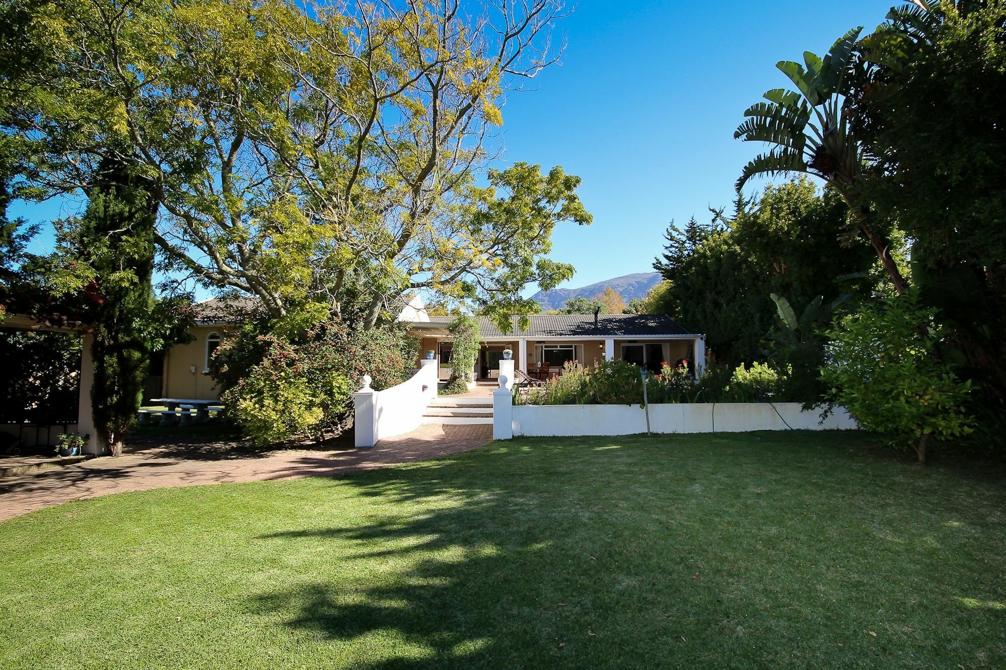 Constantia Spring Bed and Breakfast Εξωτερικό φωτογραφία