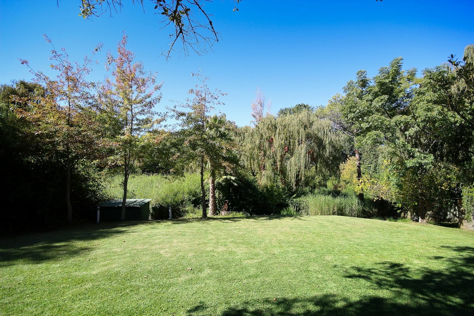 Constantia Spring Bed and Breakfast Εξωτερικό φωτογραφία