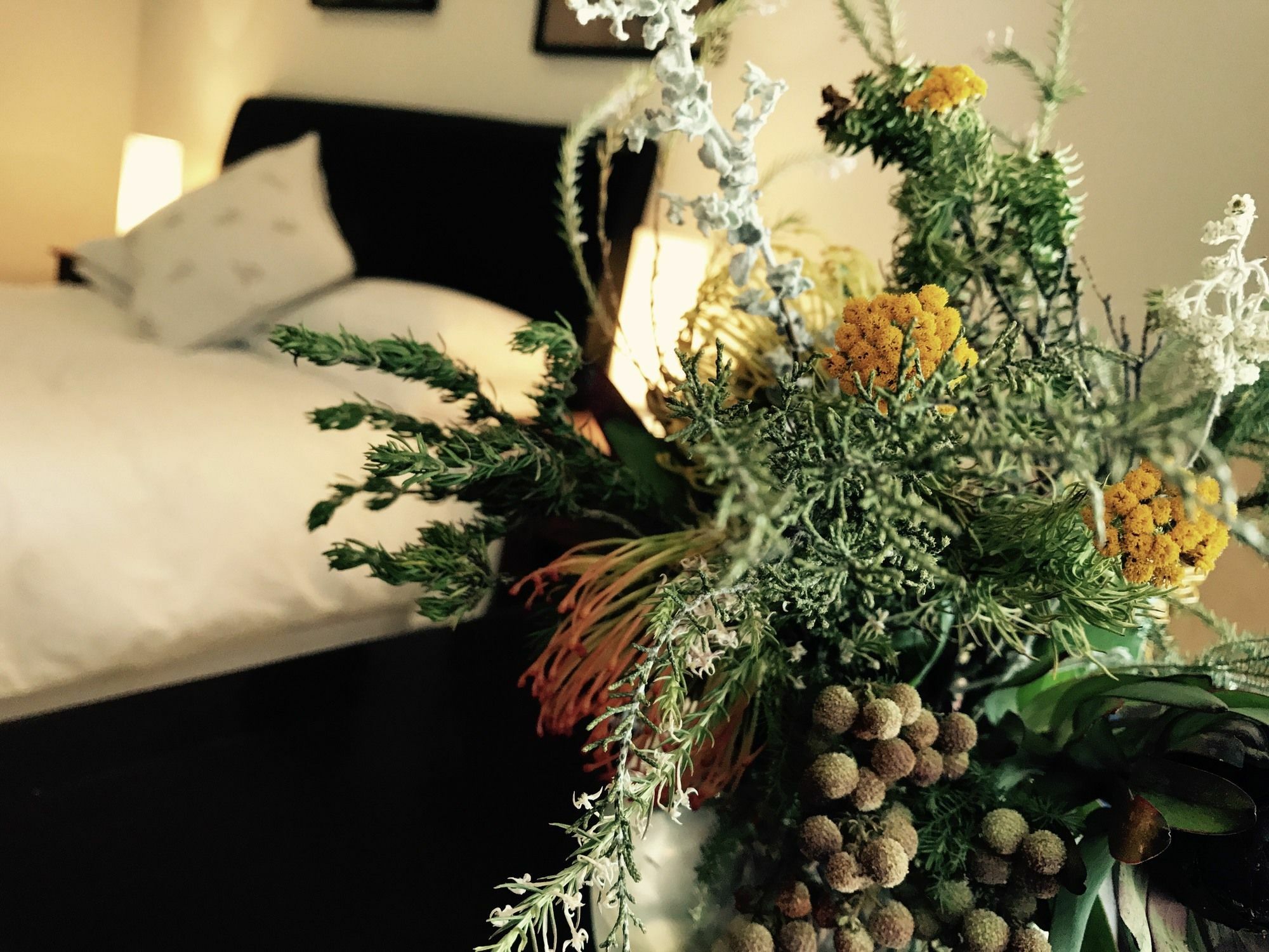 Constantia Spring Bed and Breakfast Εξωτερικό φωτογραφία